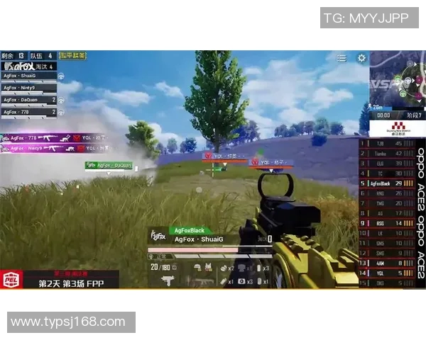 热议和平精英RNG战队快速变革背后的策略与挑战分析