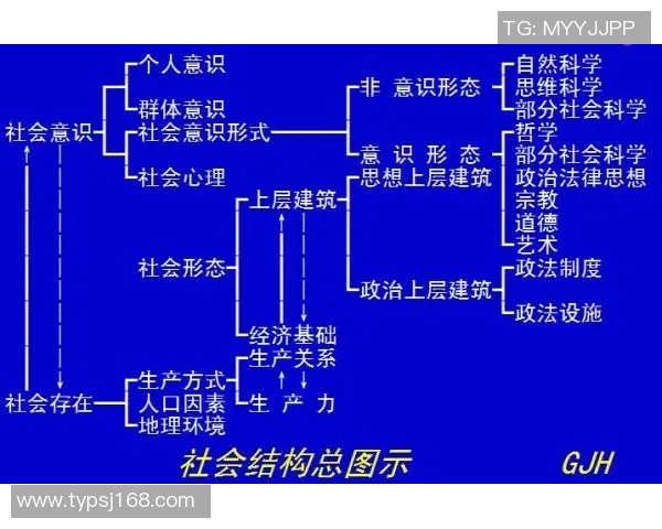 独家解析IG的意识形态差异与影响力对比分析